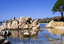 IM竞技体育平台-关于篮球技巧传授班开课，学员积极参与的信息