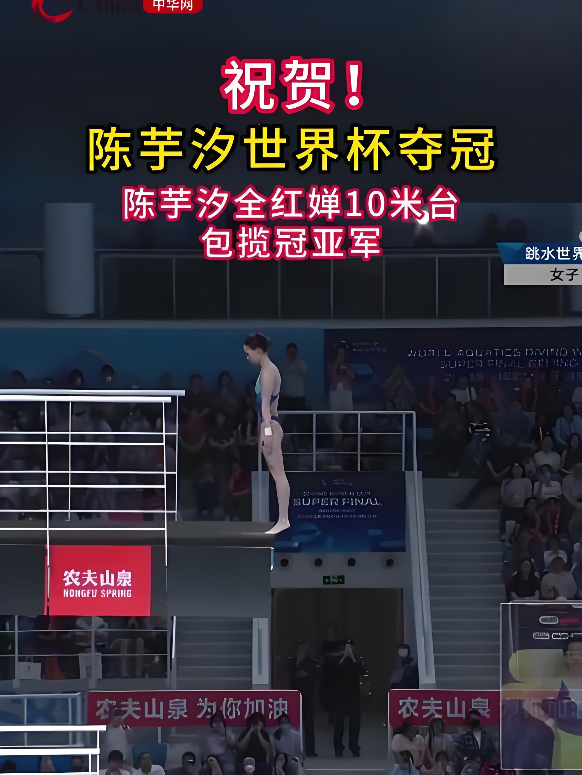 日本运动员刷新跳水世界纪录，登顶领奖台